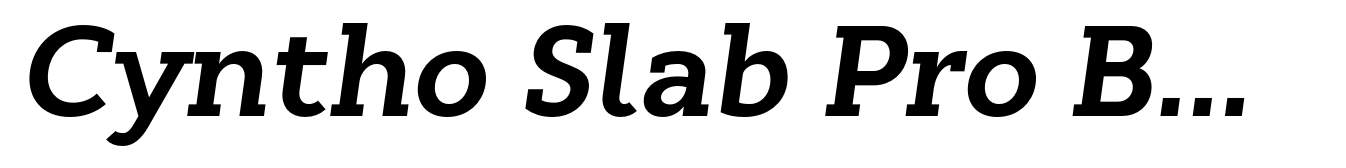 Cyntho Slab Pro Bold Italic